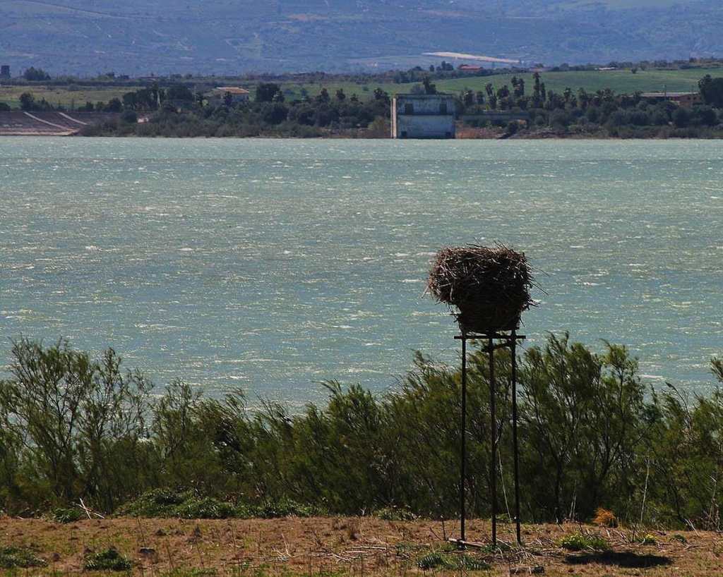 Il giorno in cui il cielo esplose sopra Lentini: il mistero del&nbsp;C‑141B