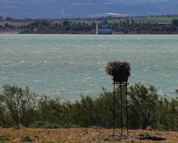 Il giorno in cui il cielo esplose sopra Lentini: il mistero del C‑141B